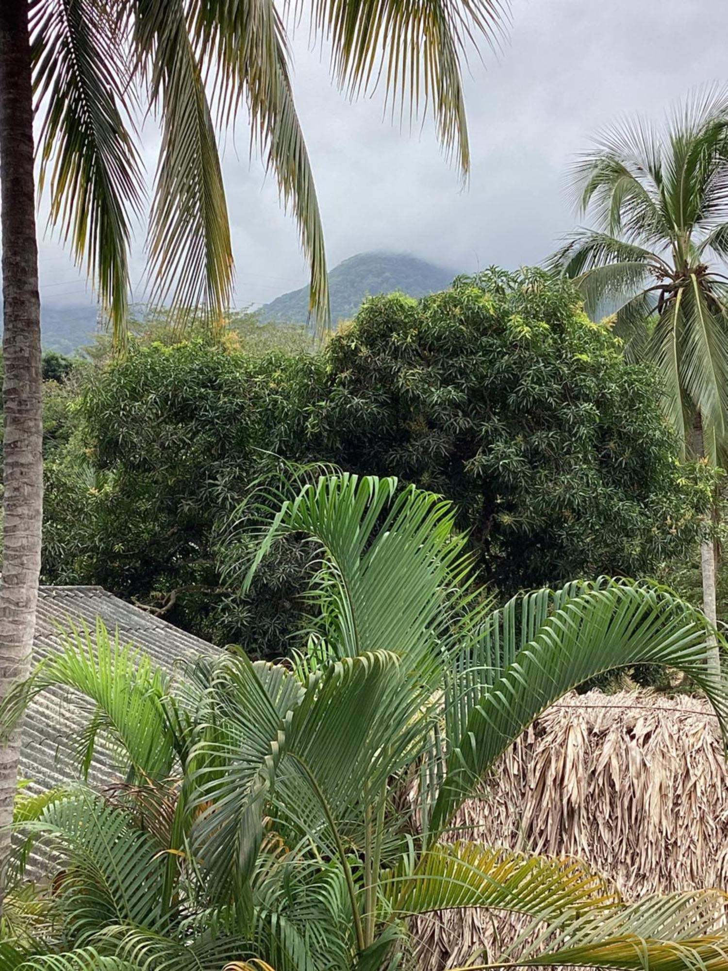 Hostal Antawara Tayrona Ел Заино Екстериор снимка